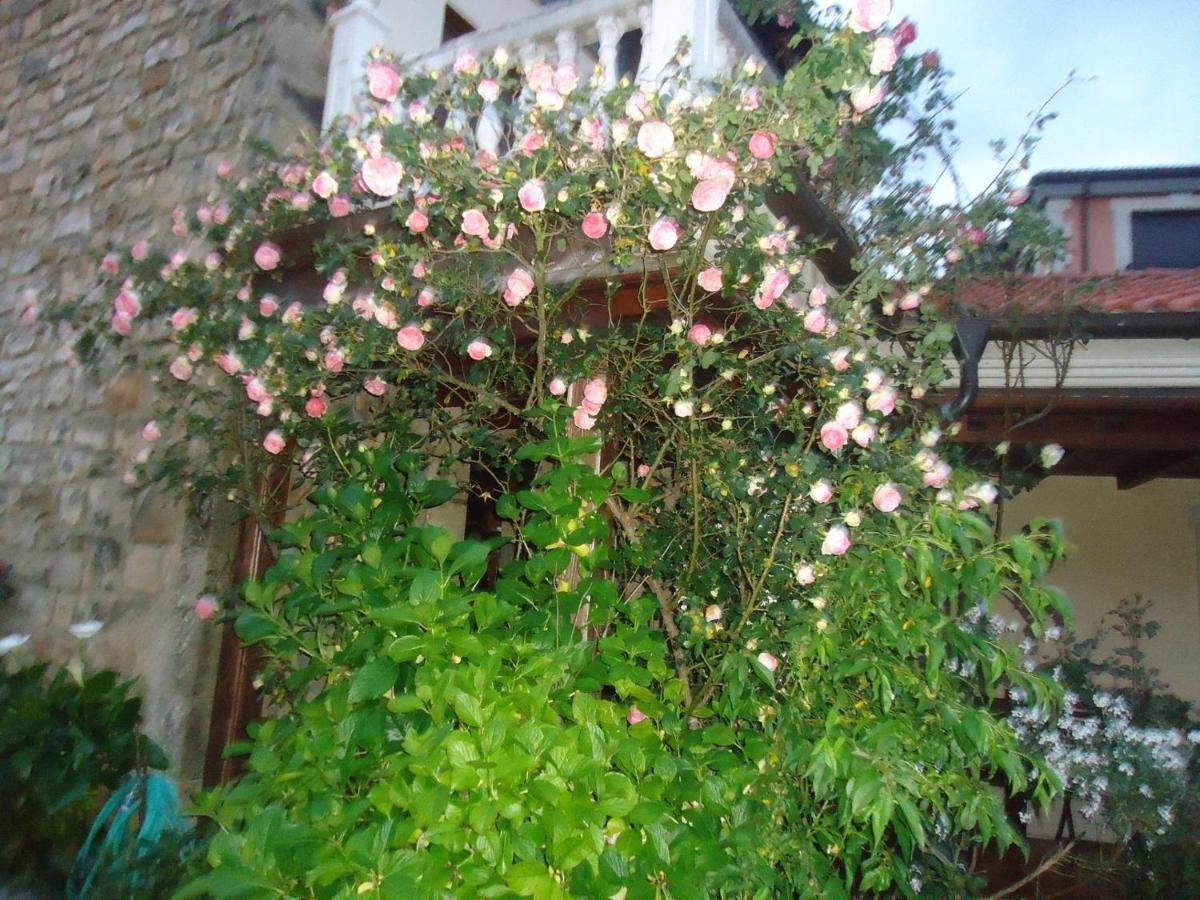 Hotel Arenas De Cabrales- Apartamentos Экстерьер фото